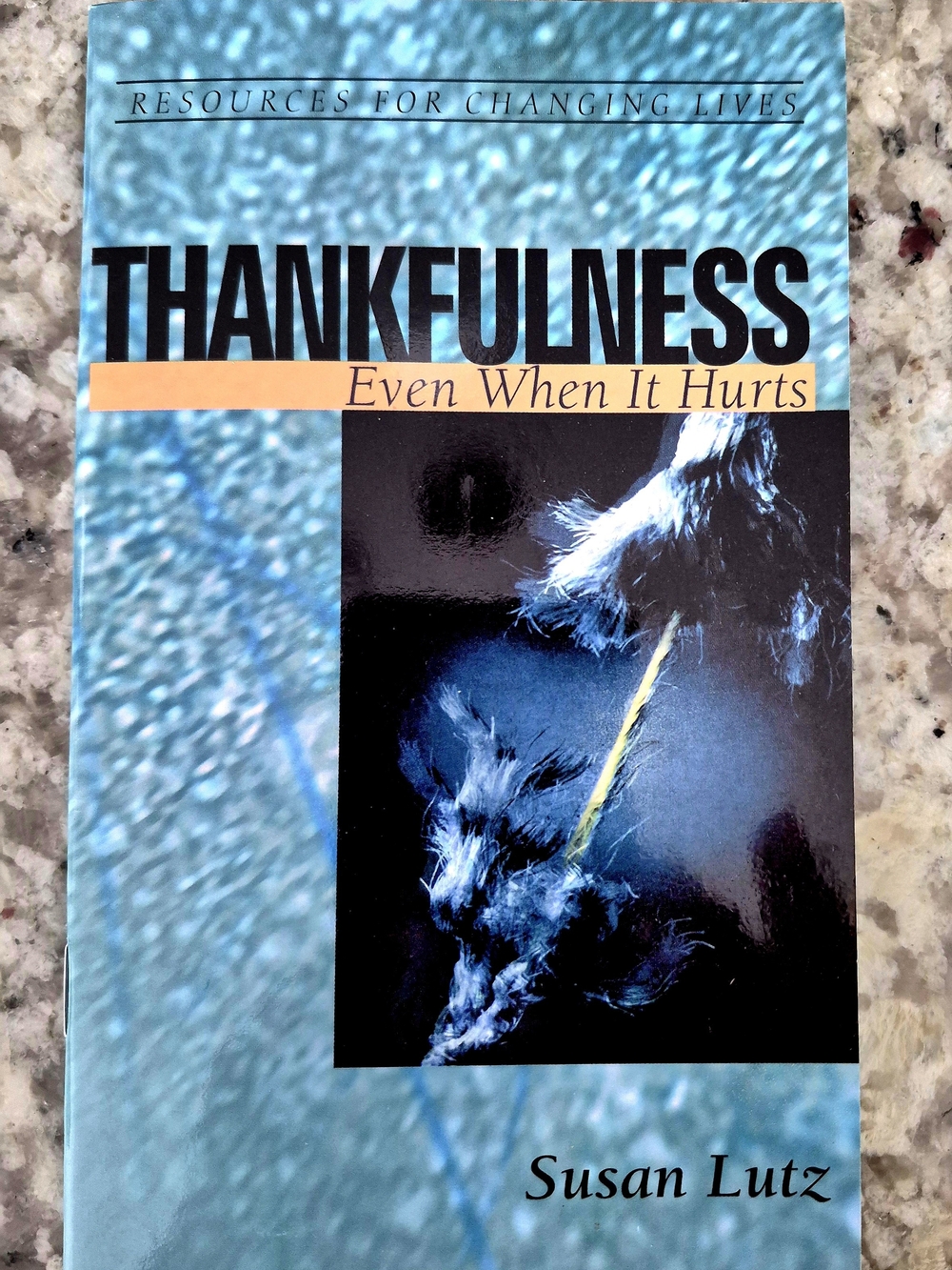 Thankfulness Even When It Hurts by Susan Lutz - Paperback